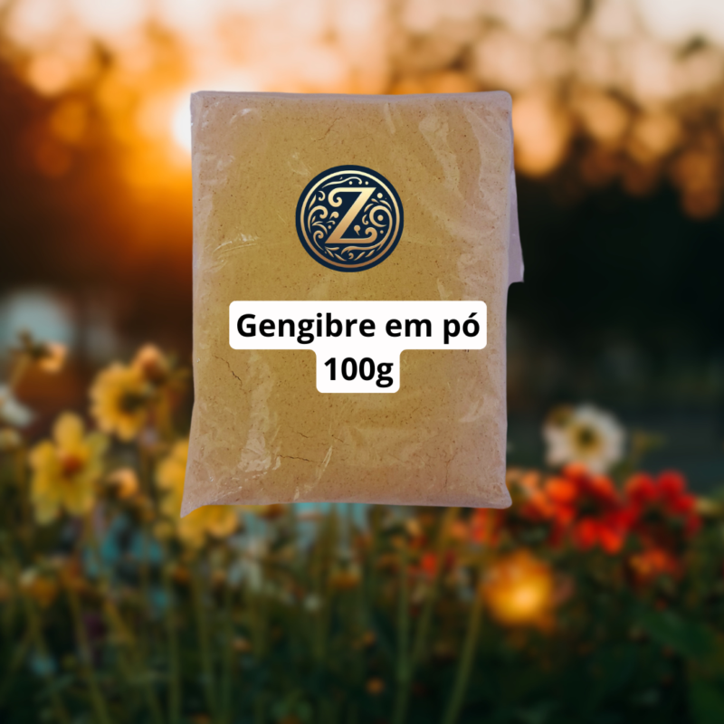 Gengibre em Pó 100g