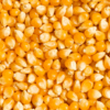 Canjica Amarela 1kg | Zartheit - Image 2