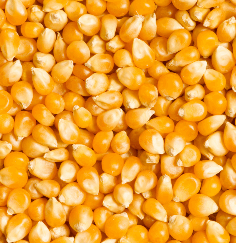 Canjica Amarela 1kg | Zartheit - Image 2