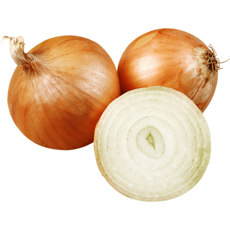 Cebola em Pó 100g | Zartheit - Image 2