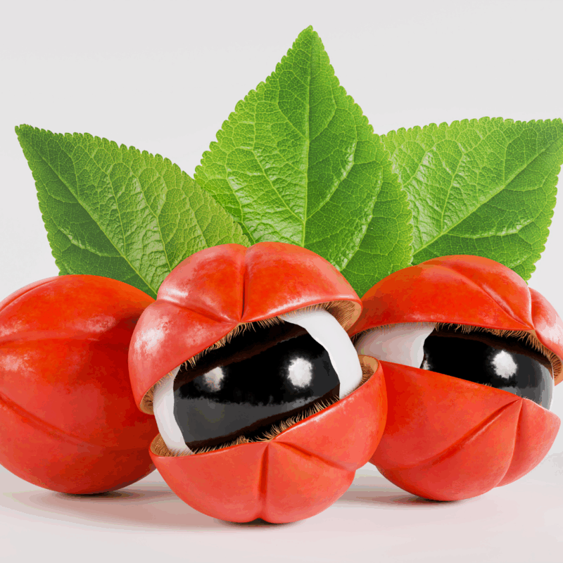 Guaraná em Pó 100g | Zartheit - Image 3